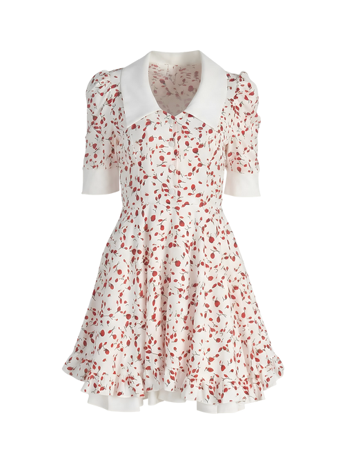 Molly-Cherry Bloom Dress