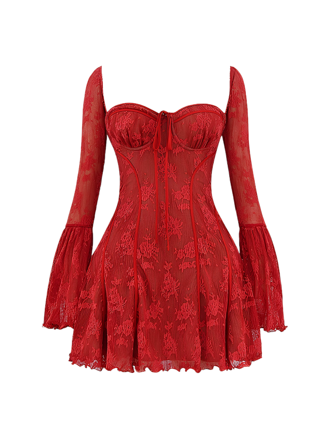 Ines-Flare Sheer Dress